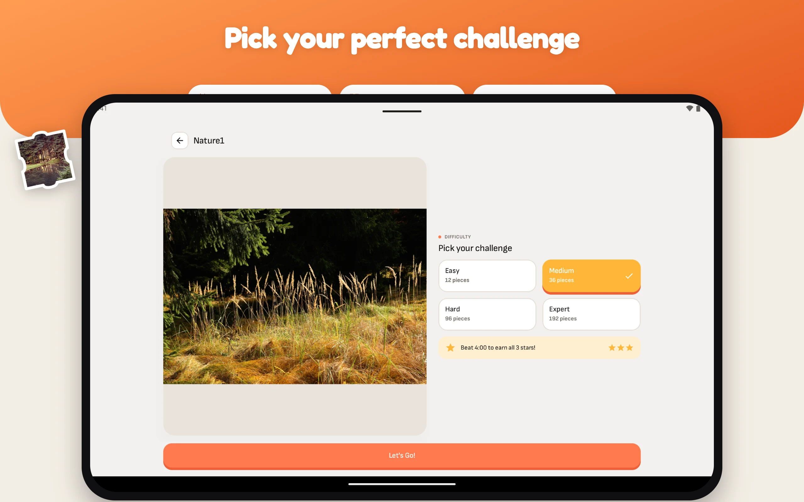 Nature Puzzle screenshot